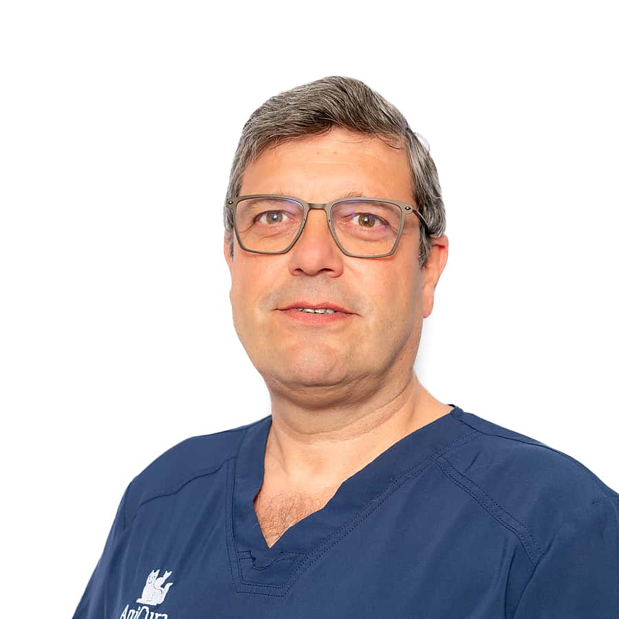 Yves Debosschere